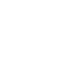 Logotipo Zamudio