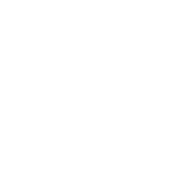 Logotipo Zierbena